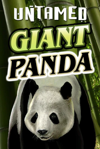 Untamed - Giant Panda - играть онлайн | Казино Cristal Palace бесплатно