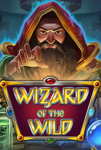 Wizard of the Wild - играть онлайн | Казино Cristal Palace бесплатно
